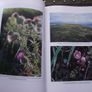 1996 "The Wild Plants of Sherkin, Cape Clear and Adjacent Islands of West Cork" edited by John Akeroyd Image 9