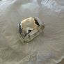Newbridge Silverware Napkin rings and S+P shaker set Image 10
