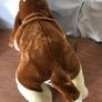 Vintage Huggies Soft Basset Hound Image 6