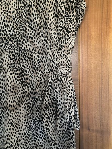 Leopard Print Dress