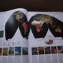 'Family Reference Atlas of the World' by National Geographic Image 9