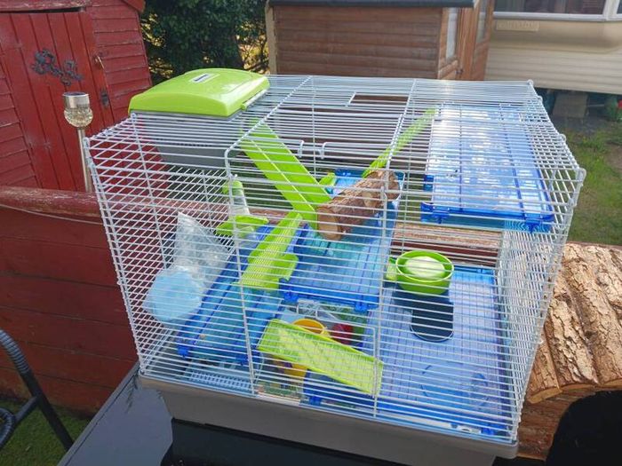 pet cages