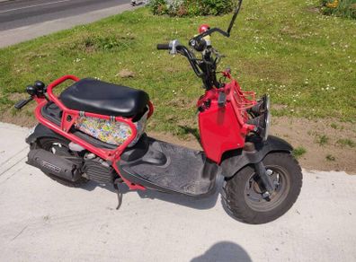 Honda Ruckus / Zoomer