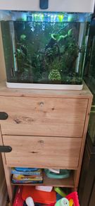 Shrimp tank