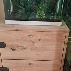Shrimp tank