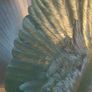 Vintage Large Dove Of Peace Mirror Image 4