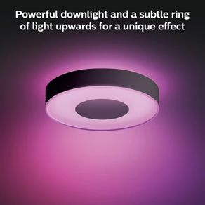 Hue infuse ceiling lights x2