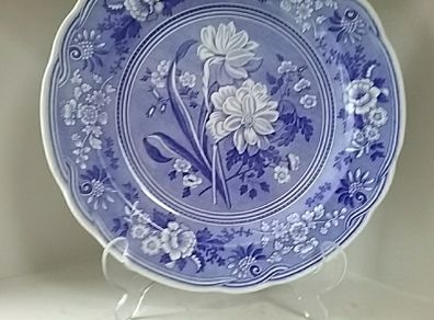 The Spode Blue Room Collection
