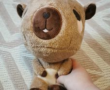 Capybara soft toy
