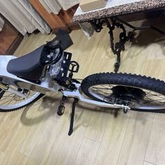 Stealth bomber ebike new