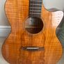 Tanglewood Electro Acustic Guitar Image 7