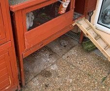 Large rabbit hutch for sale 50 euro paid 150 for it new