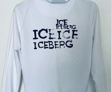 Iceberg
