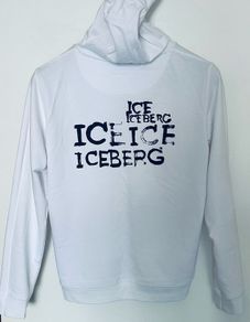 Iceberg