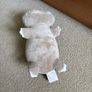 Weighted sloth teddy like huggalump Image 3