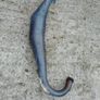 Suzuki rg125 gamma parts Image 9