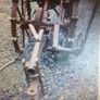 Pierce potato digger Image 2