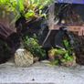 Fluval Fish Tanks 200ltr Image 5