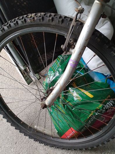 Free Raleigh Bike