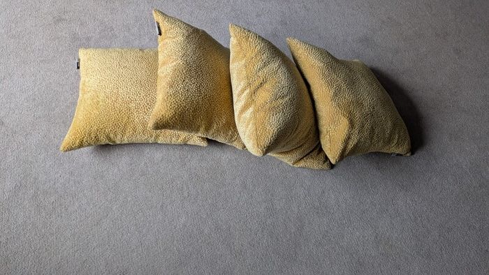 Malini cushions x 4