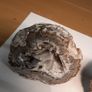 Quartz crystal geodes Image 7