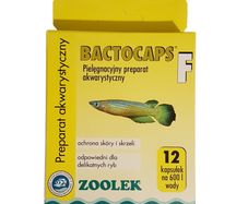 Zoolek Bactocaps F - 12 capsules for bacterial infections for delicate fish