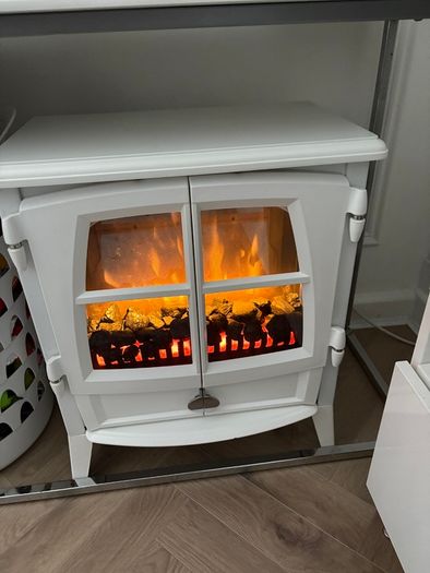 Electric fire