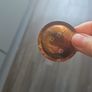 Nespresso Coffee Pods for Professional Coffee Machine Image 4