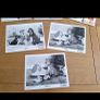 Walt Disneys Lady And The Tramp  Press Kit Image 2