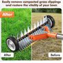 Lawn Scarifier Image 4