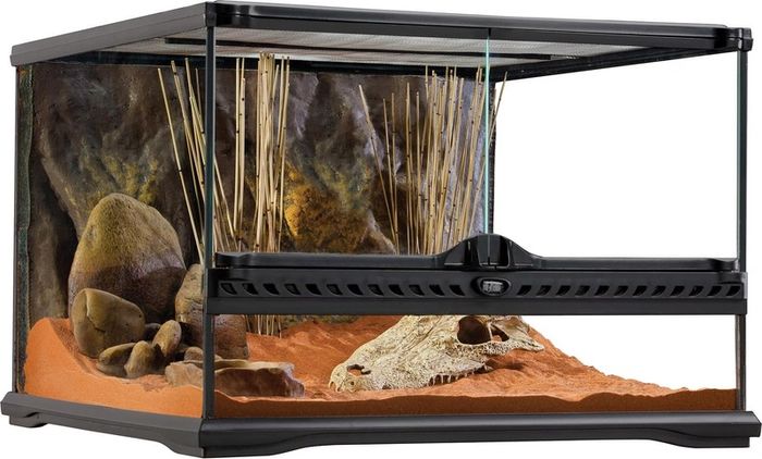 20 Gallon Exo Terra Enclosure