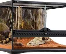 20 Gallon Exo Terra Enclosure
