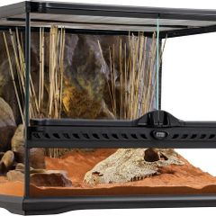 20 Gallon Exo Terra Enclosure