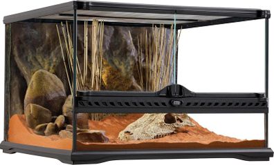 20 Gallon Exo Terra Enclosure