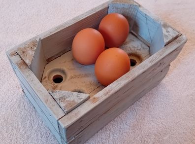 Egg holder