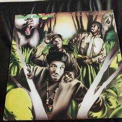 Jungle Brothers Straight out of the jungle lp