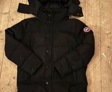canada goose