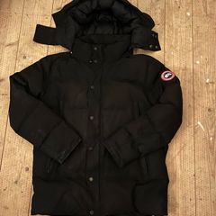 canada goose