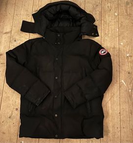 canada goose