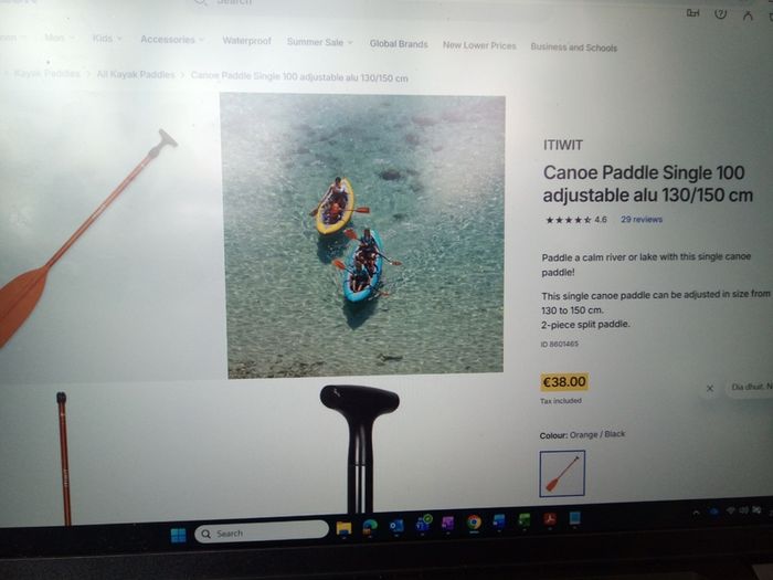 Canoe single paddle like new