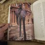 The Guinness Book Of Ireland Edited By Bernhard Loughlin  And Colm Toibin. First Edition Large Volume Hardback With Dustjacket In Good Condition.  See Photos For Same. Image 5