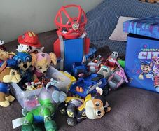 Paw patrol