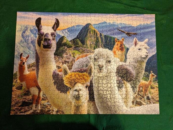 1000 pieces jigsaw puzzle
