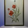 Original Elizabeth A. McEwen Botanical Watercolour - Poppies Image 5