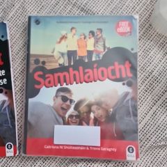 Samhlaiocht irish book