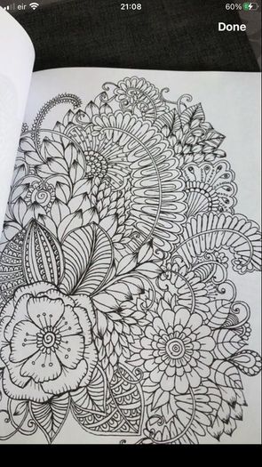 Adults colouring book