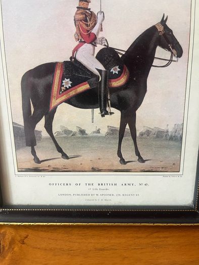 Victorian Officers of the British Army Prints