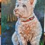 Westi West Highland terrier - original oil painting Image 3