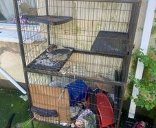 cage for small animals or others