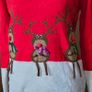 Christmas jumper - 33/34IN Image 4